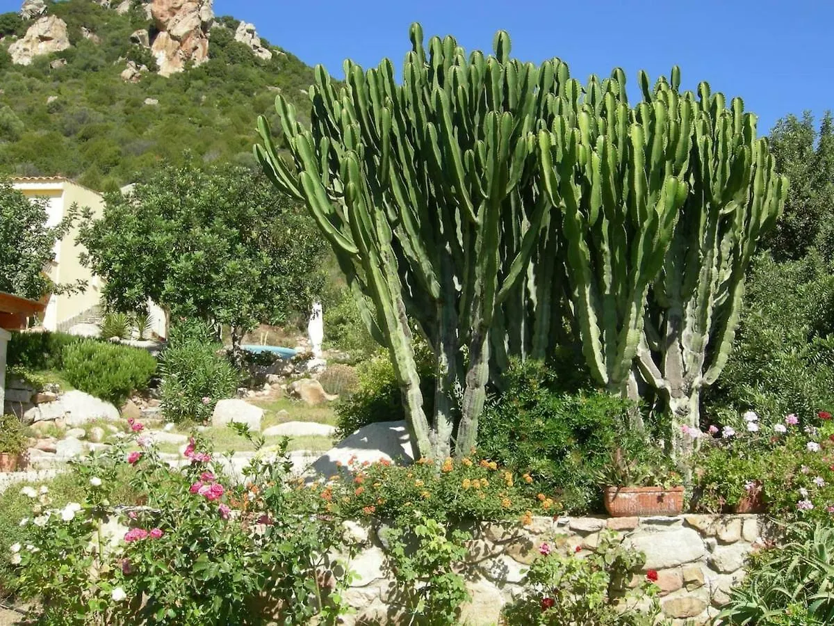 公寓 Villetta In Zona Panoramica, Immersa Nel Verde Della Macchia Mediterranea 维拉西米乌斯