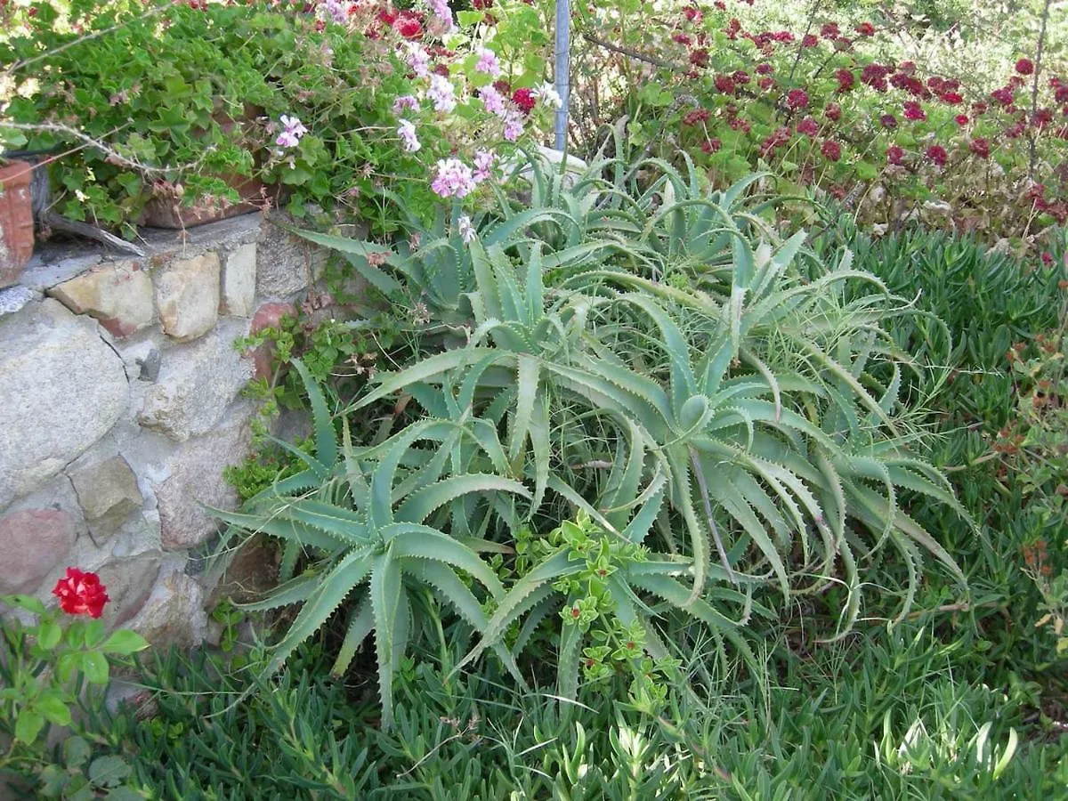 Lejlighed Villetta In Zona Panoramica, Immersa Nel Verde Della Macchia Mediterranea Villasimius